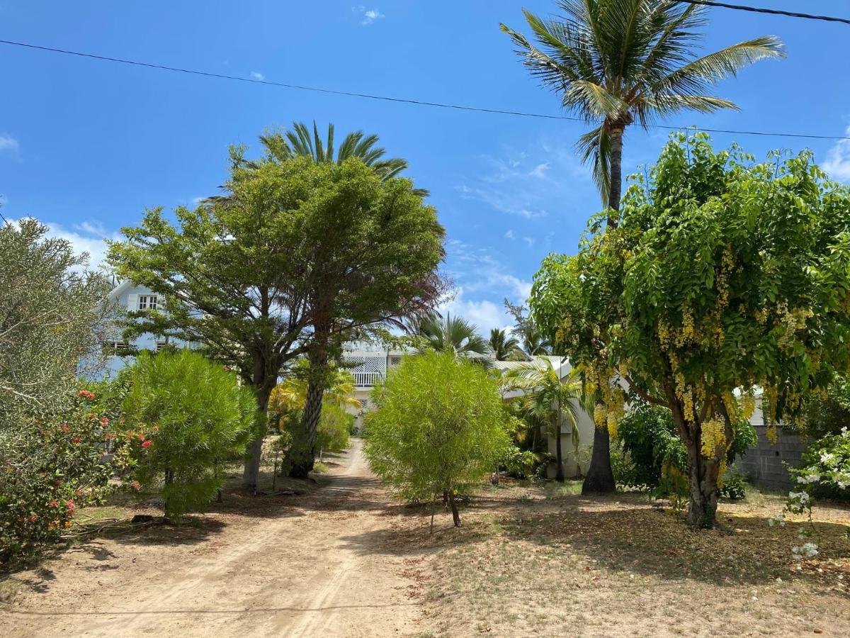 Villa & Bungalow 'Coco Des Sables' Les Pieds Dans L'Eau La Saline Le Bains Bagian luar foto